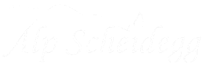 Alp Scheidegg, Logo, Referenz, Coaching Küche